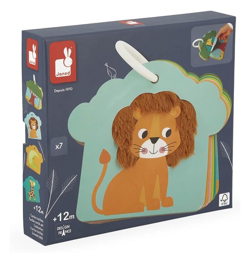 CARTES TACTILES SAVANE